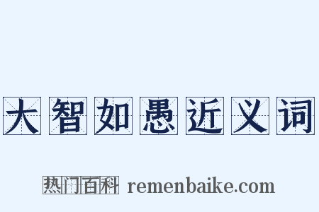 大智如愚近义词是什么意思的图片